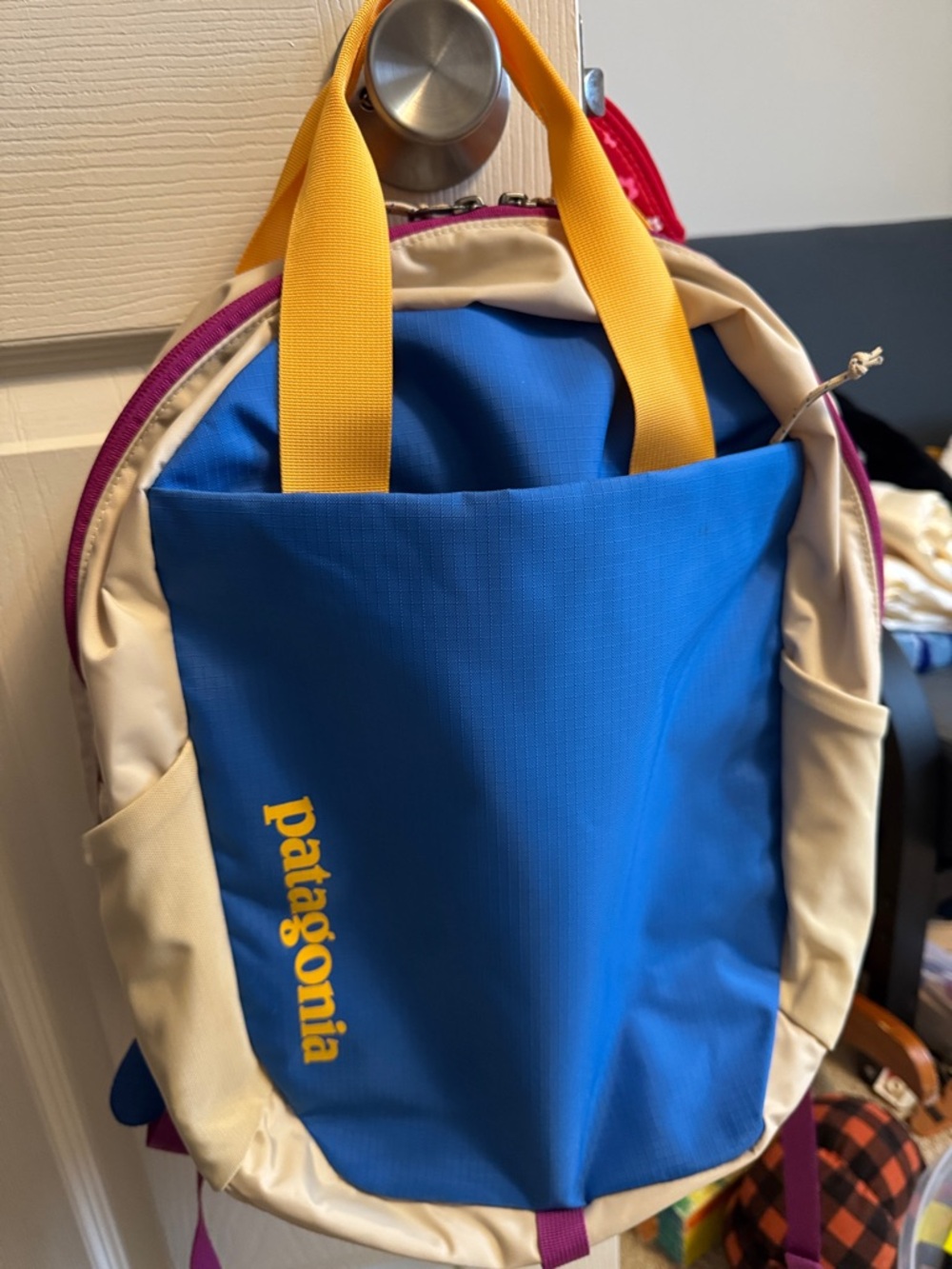 Patagonia Backpack tote pack